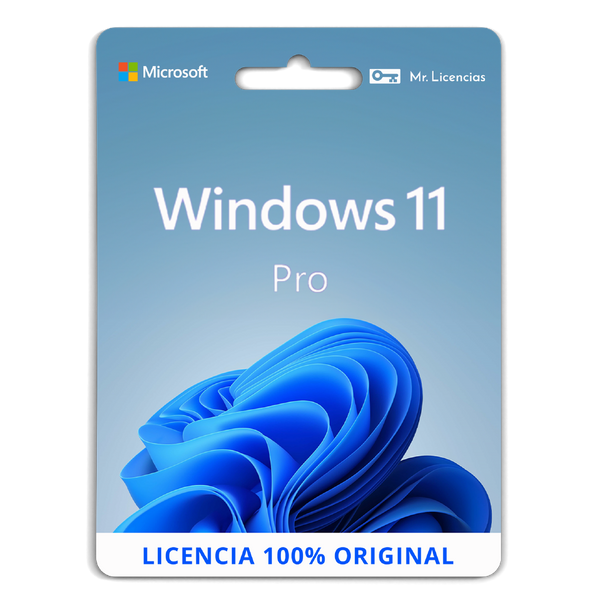 Windows 11 Professional