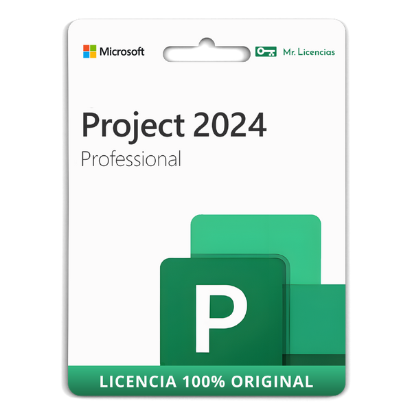 Project Professional 2024