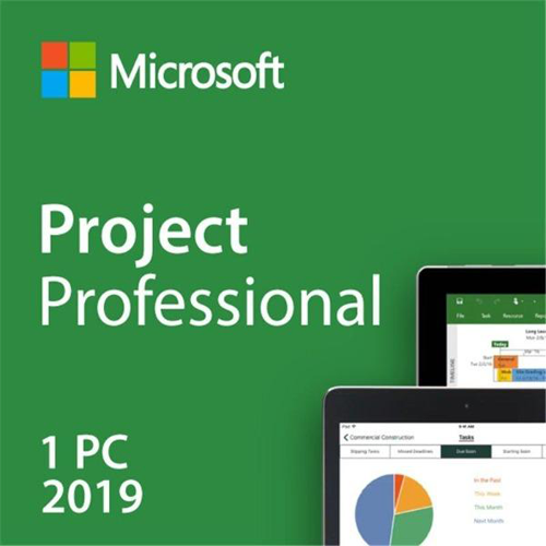 Project Professional 2019