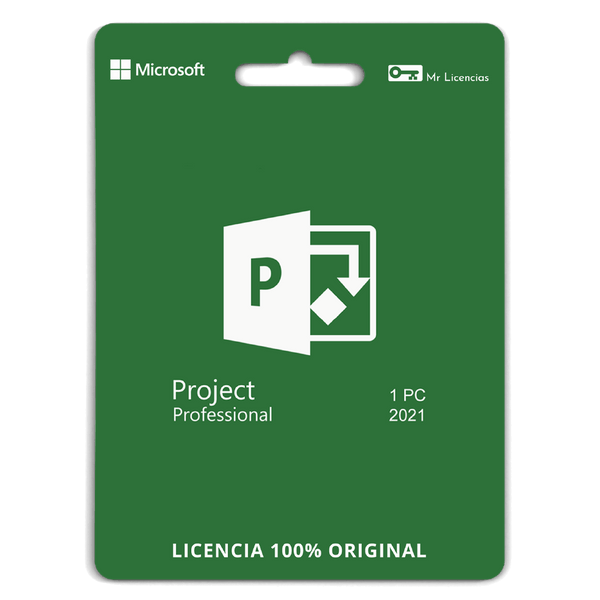 Project Professional 2021